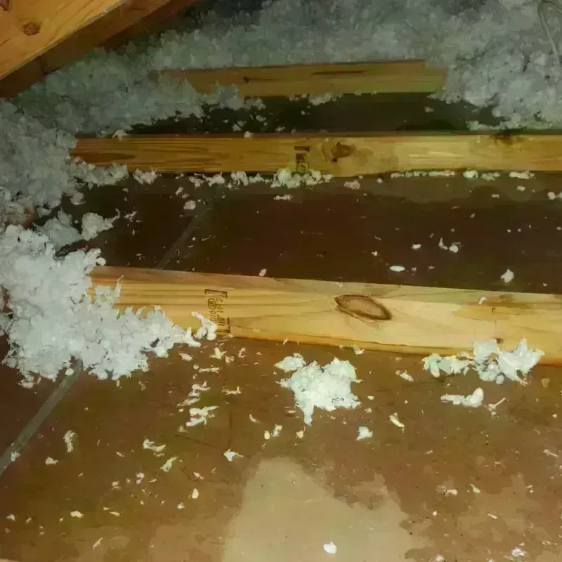 Attic Water Damage in Lawrence County, IN