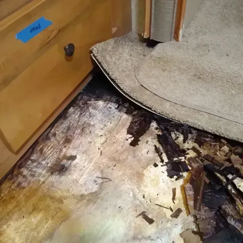 Best Wood Floor Water Damage Service in Lawrence County, IN